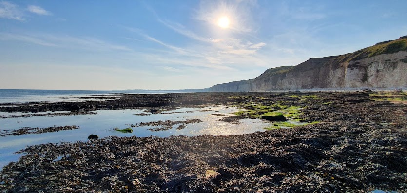 Flamborough Head